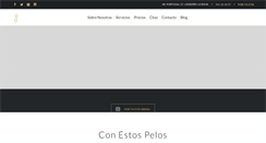 Desktop Screenshot of conestospelos.com