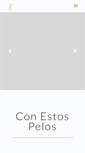 Mobile Screenshot of conestospelos.com